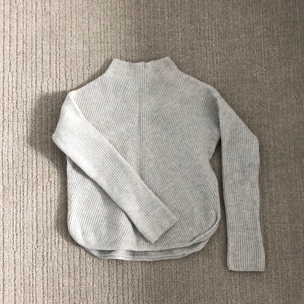 Babaton sweater (Aritzia)